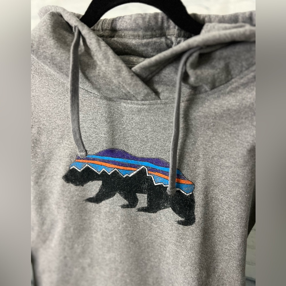 Patagonia Roy Bear Uprisal Hoodie | Sz XS - Picture 14 of 16